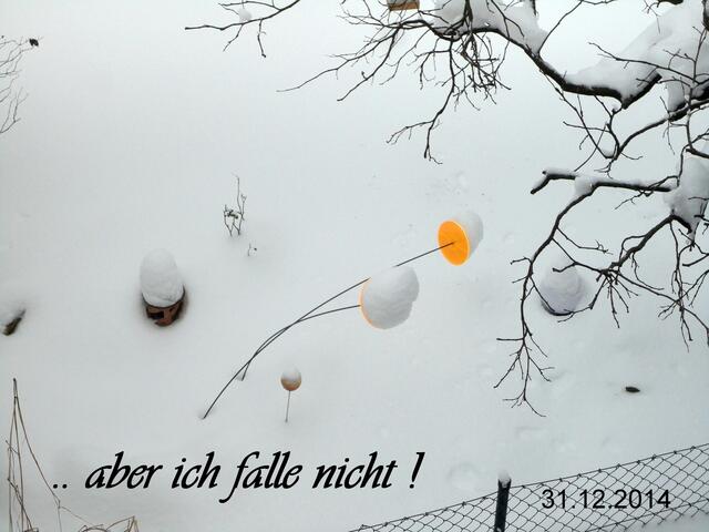 und am 31.12.2014