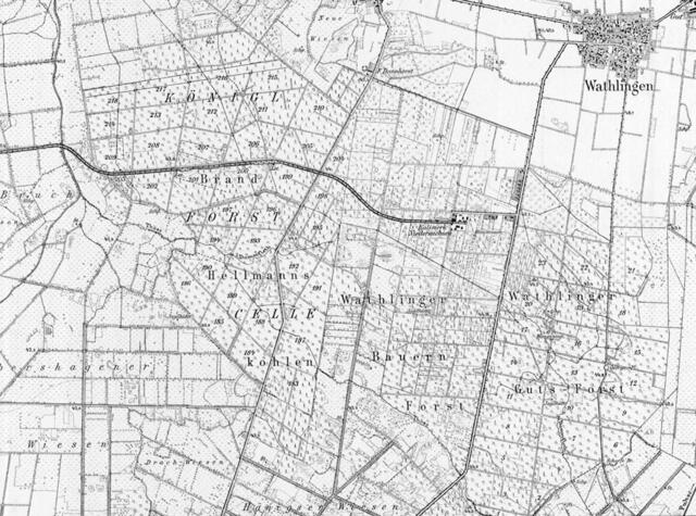 Der Wathlinger Bauern-Forst auf der Westseite der Hänigser Straße und der gegenüber liegende Guts-Forst auf der Preußischen Landesaufnahme von 1899.