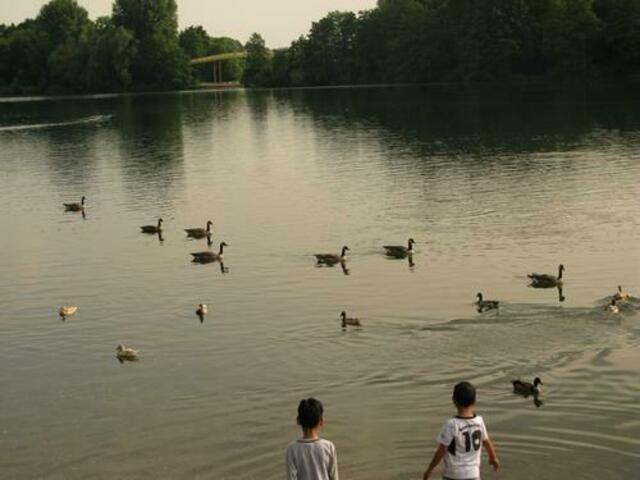 Masurensee, Sechs-Seen-Platte Duisburg