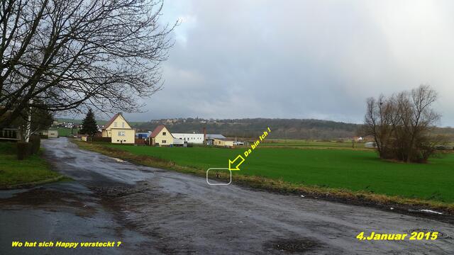 4.Januar - Sonntagsbilder - Feldansichten / Vitzenburg (1) ! Temp: Früh 2°C Plus / 12:03h 5°C Plus / Wind: 4-6 / bewölkt - trübe - Nieselregen und sonnig !