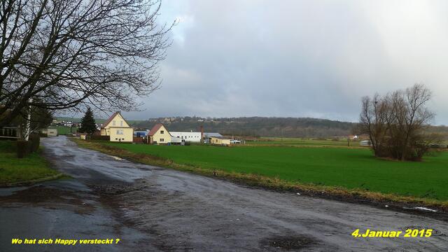4.Januar - Sonntagsbilder - Feldansichten / Vitzenburg (1) ! Temp: Früh 2°C Plus / 12:03h 5°C Plus / Wind: 4-6 / bewölkt - trübe - Nieselregen und sonnig !