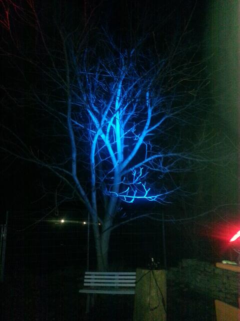 Sieht das in blau nicht toll aus????