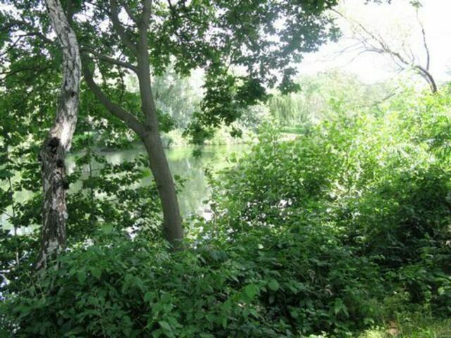 Natur am Blauen See in Duisburg Bissingheim