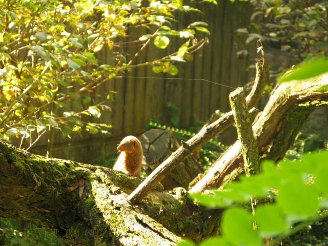 Zoo Duisburg