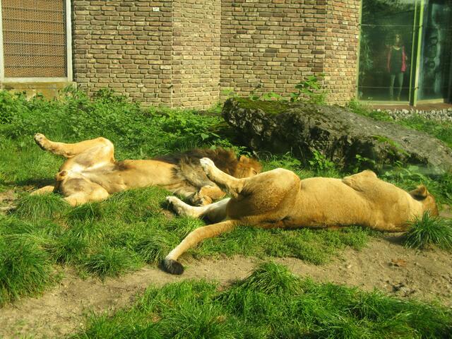 Zoo Duisburg