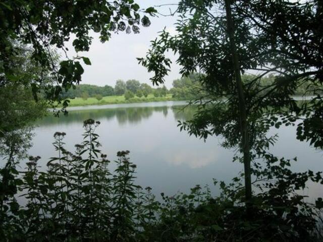 Der Remberger See im Duisburger Süden