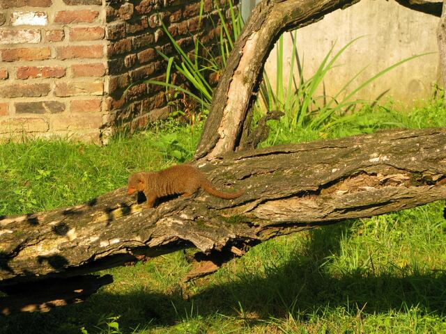 Zoo Duisburg