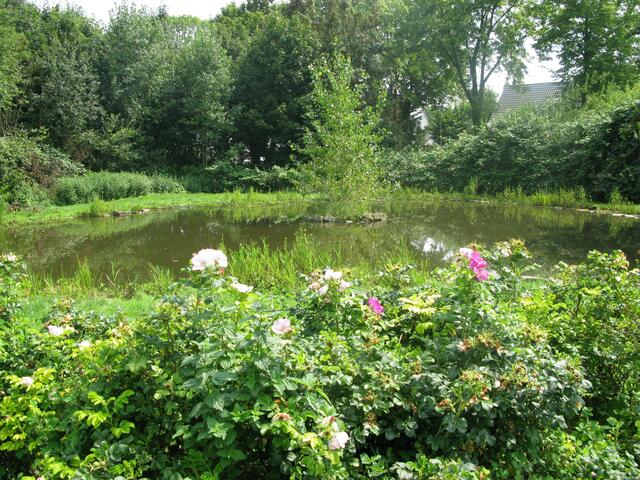 An der Alten Angeraue im Duisburger Süden