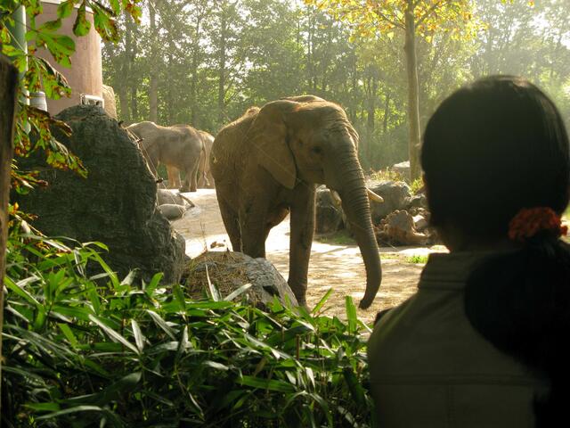 Zoo Duisburg