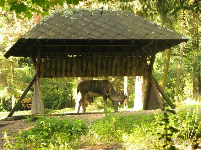 Zoo Duisburg