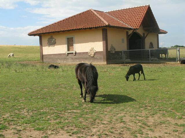 Tierpark am Bonnheimer Hof in Hackenheim