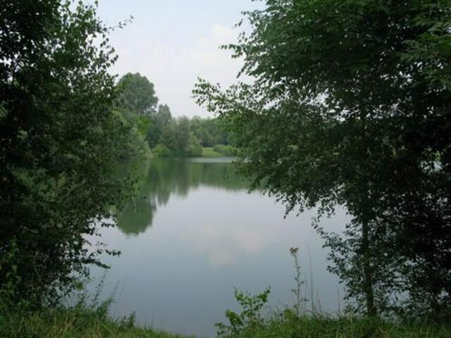Der Remberger See im Duisburger Süden