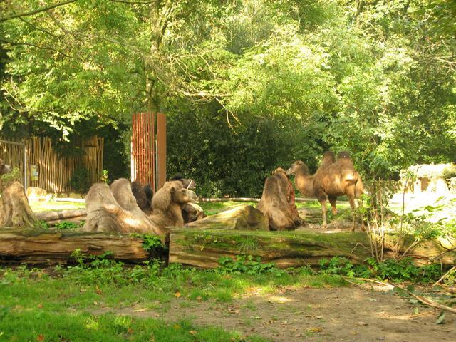 Zoo Duisburg