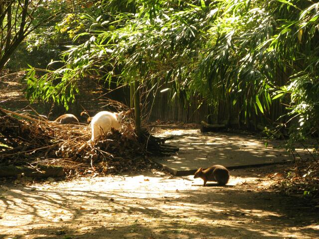 Zoo Duisburg