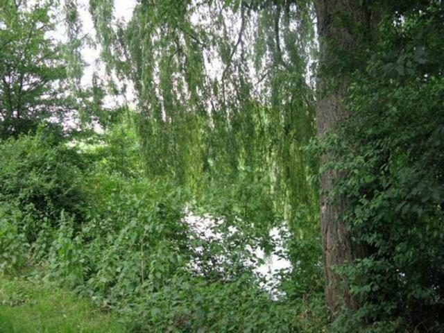 Natur am Blauen See in Duisburg Bissingheim