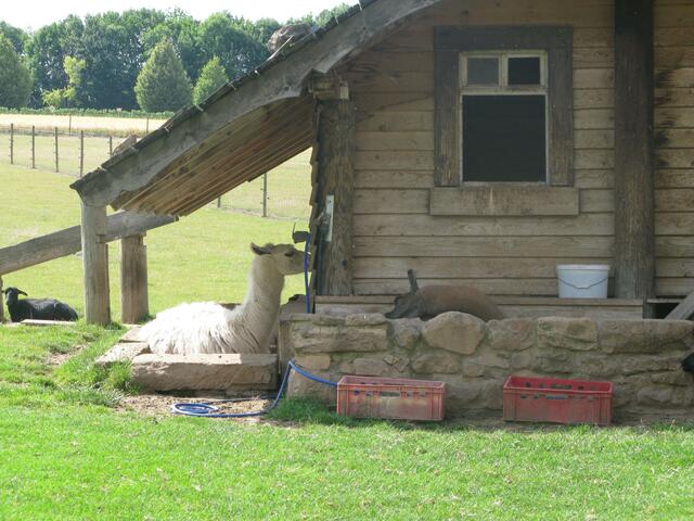Tierpark am Bonnheimer Hof in Hackenheim