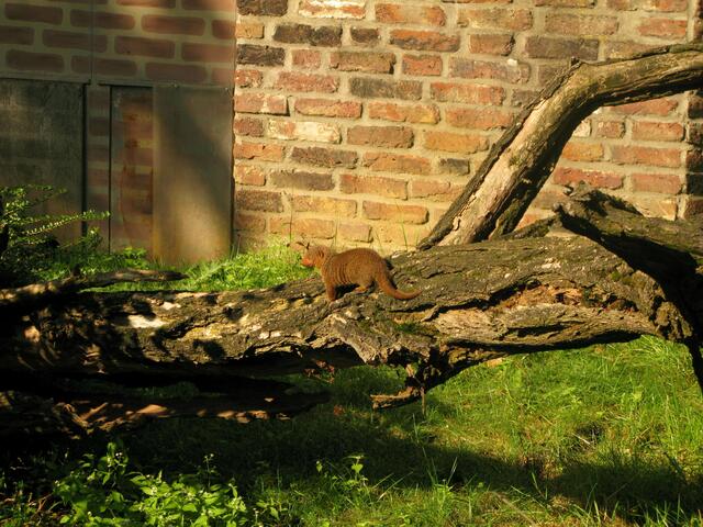 Zoo Duisburg