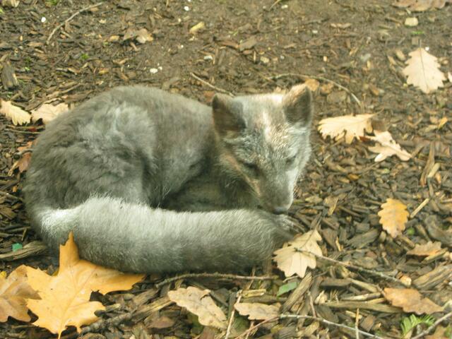 Zoo Duisburg