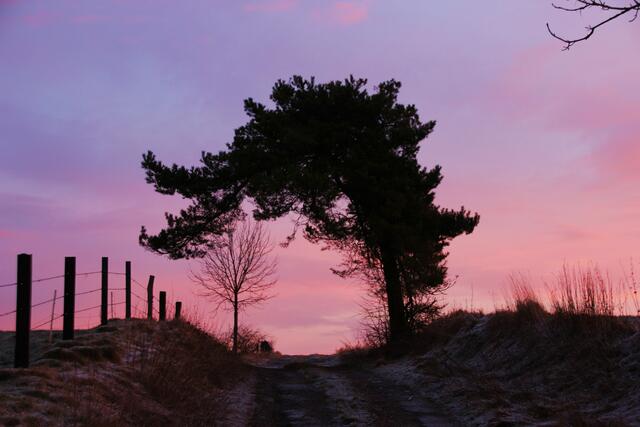 Früh aufstehen lohnt sich...