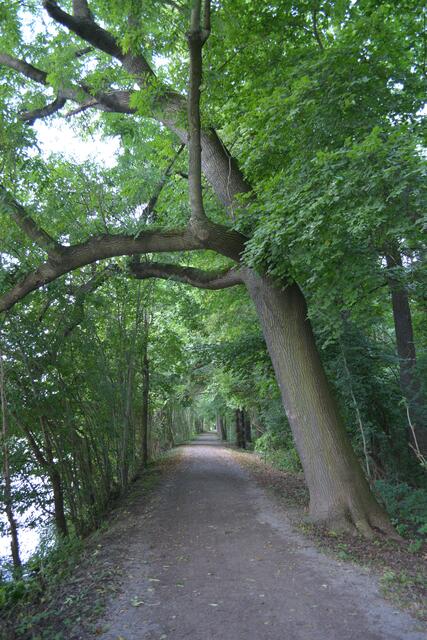 der Schlenkerweg auf der Rabeninsel