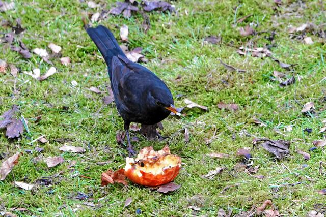 "Schnell her damit, bevor der Alte schon wieder kommt!"