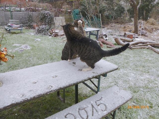 Bleib unten - glaubst du mir etwa nicht???