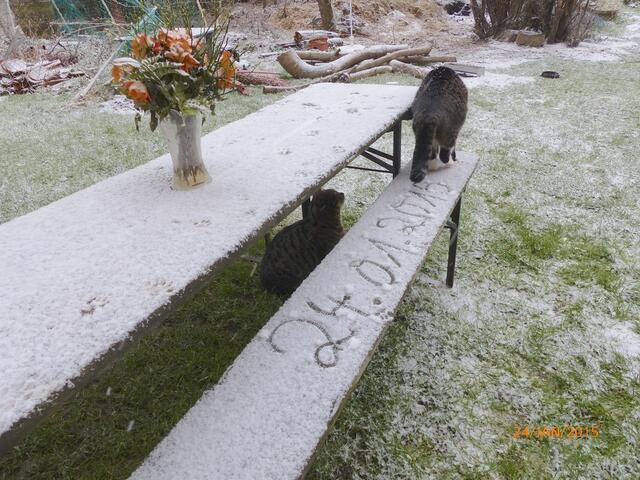 Nur hier hinten dürfen wir sein, aber hier bin ich schon - ätsch!