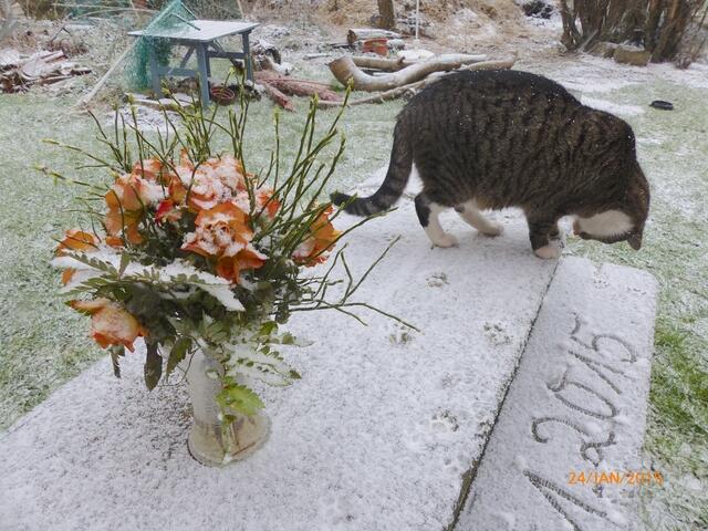 Fritz, pass auf, wir dürfen heute nicht auf die Bank!