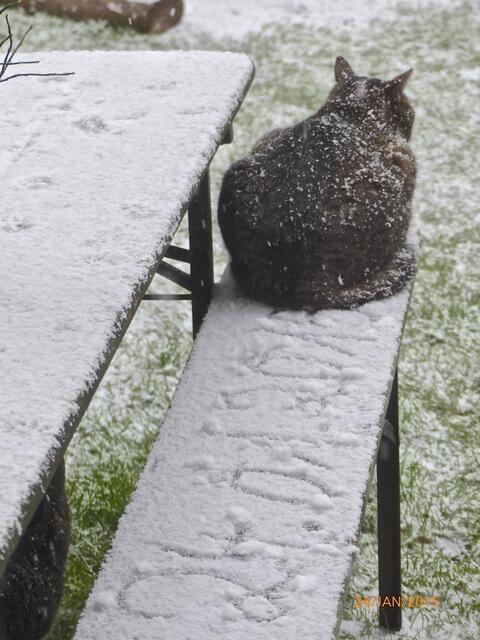 Deshalb bleibe ich auch hier hocken, bis ich eingeschneit bin!!! ;-)