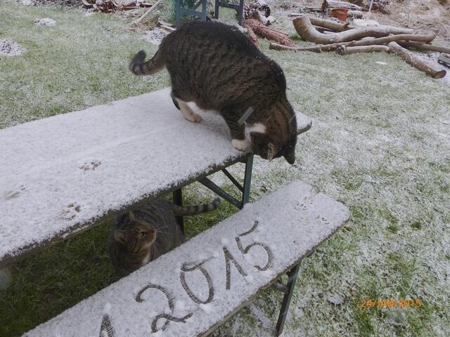 Hast du verstanden? Du bekommst sonst Ärger, wie ich eben!!!