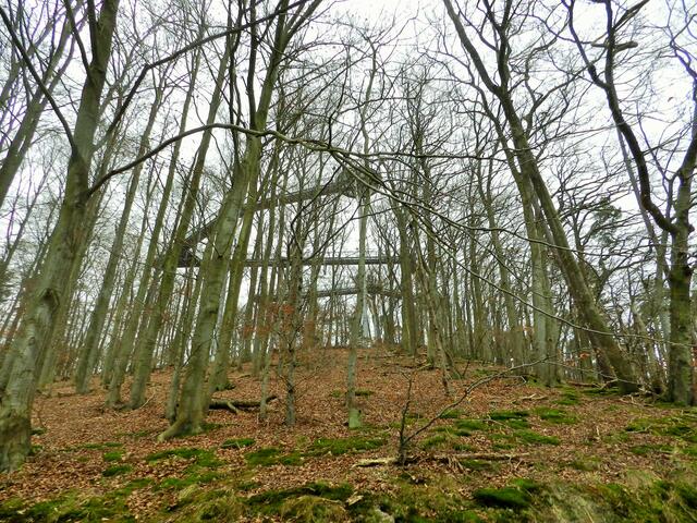 Baumkronenweg.
