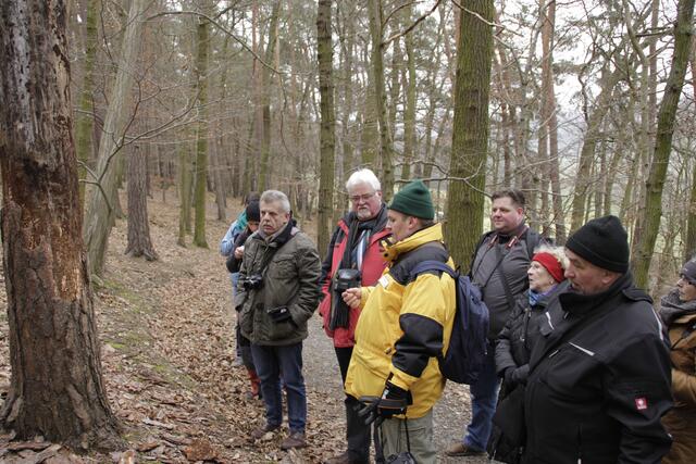 Naturparkführer Arndt Petri erklärt, warum hier die Rinde vom Baum "fällt"