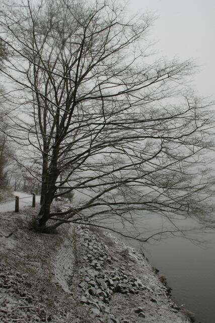 Am Wegesrand