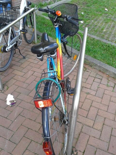 Immerhin...