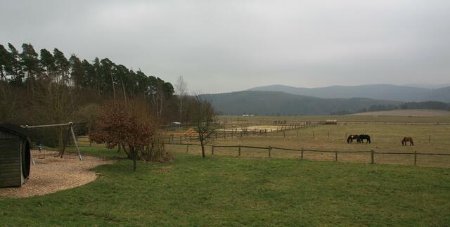Im Hintergrund ein weiterer Teil des "Waldmeeres des Nationalparks" - in unserem Rücken befindet sich die Wildnis-Schule.