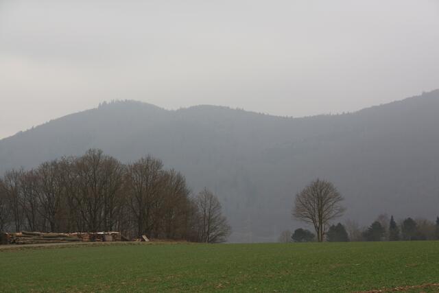 Erster Blick auf einen Teil des "Waldmeeres des Nationalparks"