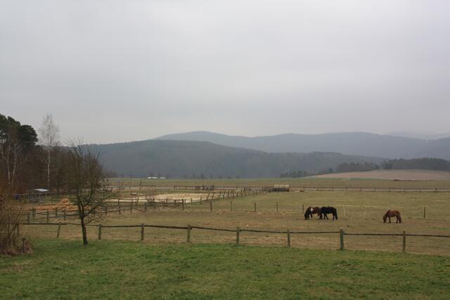 Blick auf das "Waldmeer des Nationalparks"