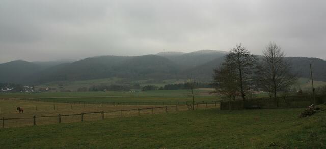 Blick auf das "Waldmeer des Nationalparks"
