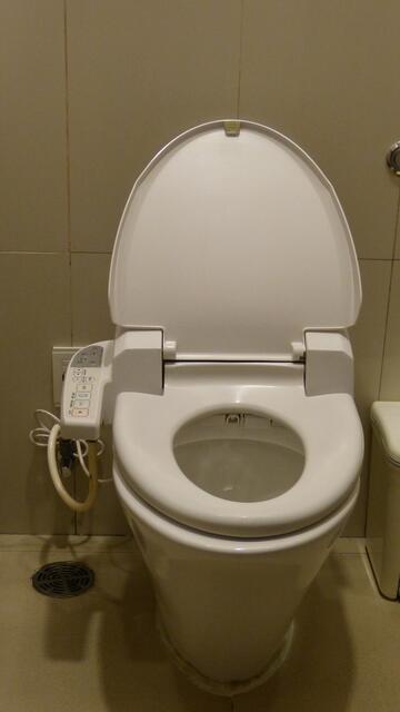 Hightech-Toilette