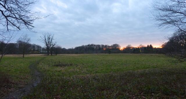 Abendstimmung über der Parkwiese