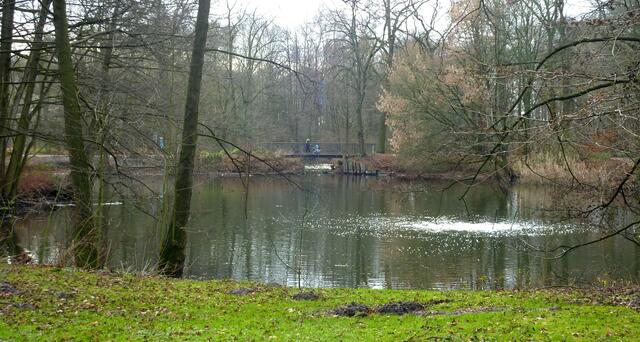 Immer wieder schön: Die Teiche im Stadtpark