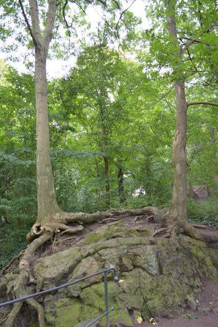 Reichhardts Garten
