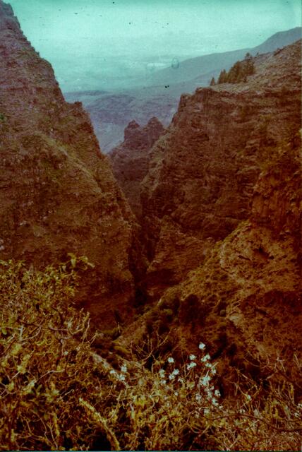 Die Höllenschlucht bei Adeje führt einen Wasserfall (im Winter). Foto von 1970