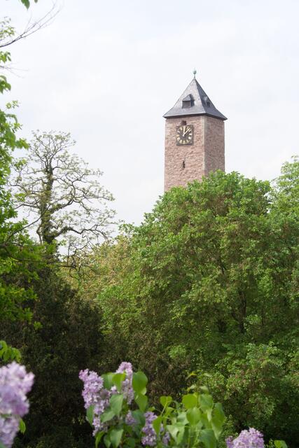 Giebichenstein
