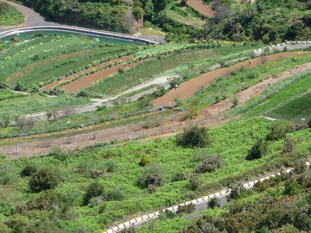 Landwirtschaft im Teno Gebirge