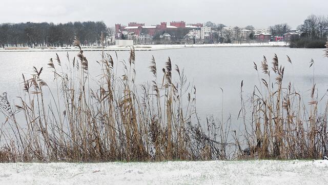 Am Ufer des Burgsees. Foto: Helmut Kuzina