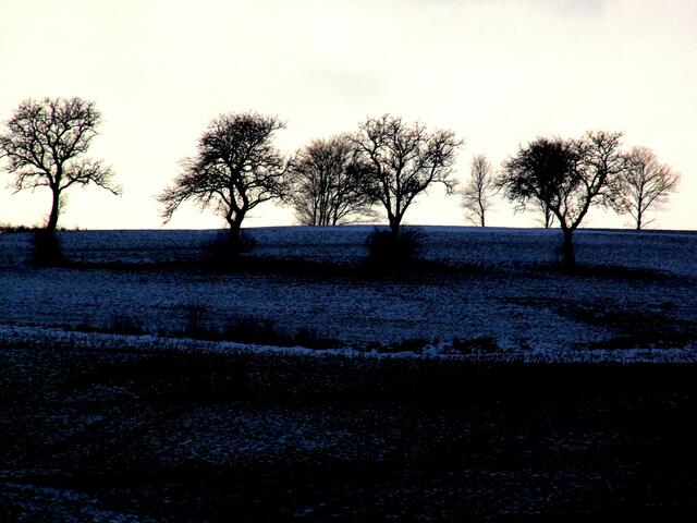 Kurz vor Bitbürg, kaum noch Schnee, aber noch auf der Höhe, in Bitburg war gar keiner