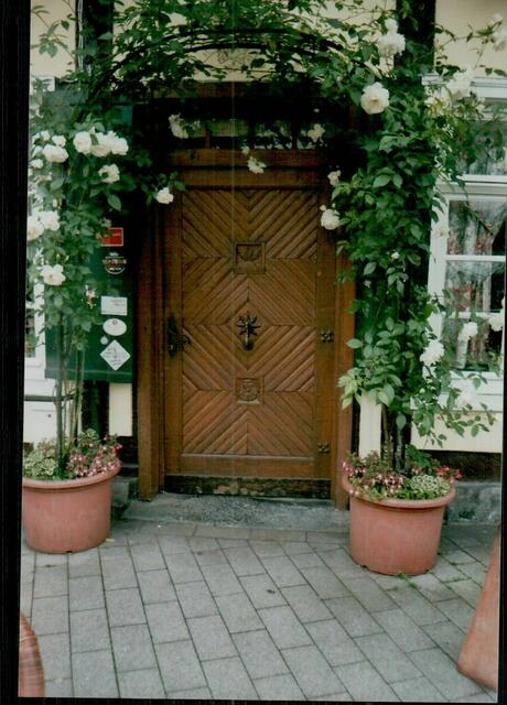Manchmal begegnen uns Menschen, die wie das flüstern des Windes sind. Sie bringen uns zum lauschen, zum fühlen, und säen Blumen von unsagbarer Schönheit in unsere Seele.                       (Verfasser unbekannt )