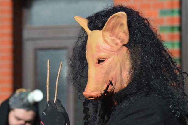 Schwein gehabt