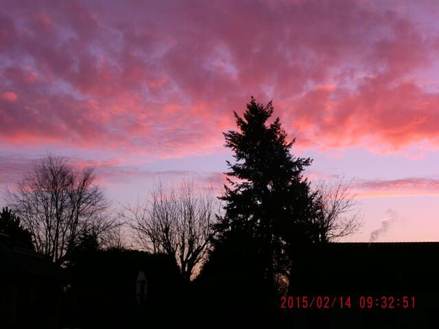 Morgenrot